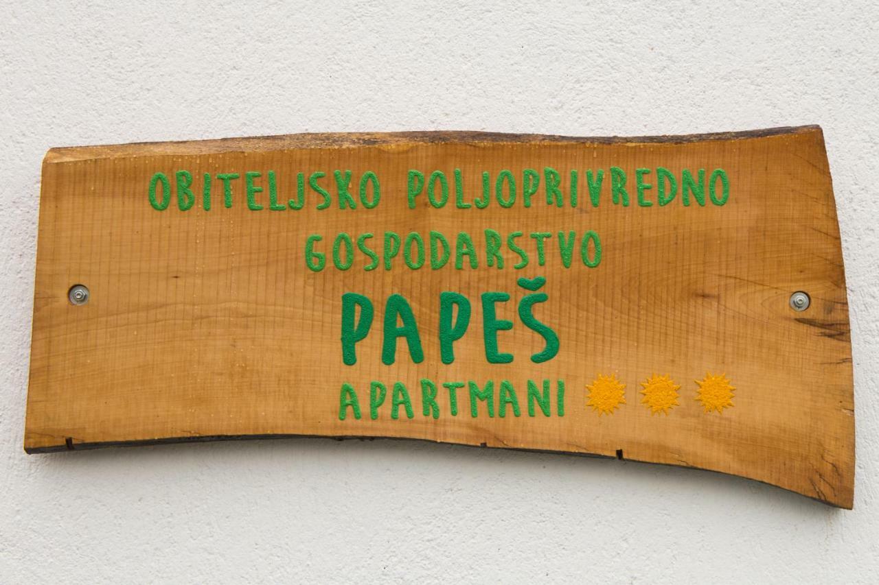 Apartmani Papes Krapina Eksteriør billede